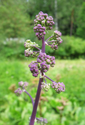 Similar image 1146418