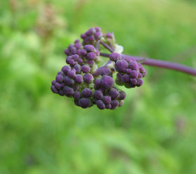 Similar image 1146420