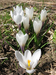 Similar image 1146423