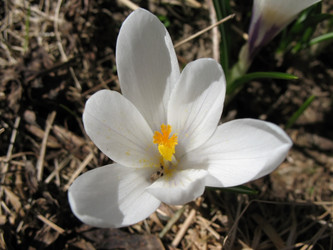 Similar image 1146424