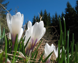 Similar image 1146425