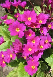 Similar image 1146429