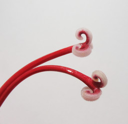 Similar image 1146434