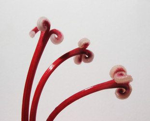 Similar image 1146435