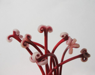 Similar image 1146436