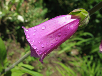 Similar image 1146451