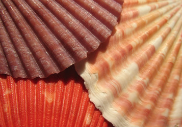 Similar image 1146456