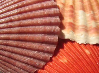 Similar image 1146457