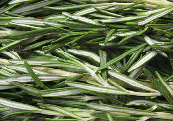 Similar image 1146482