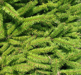 Similar image 1146486