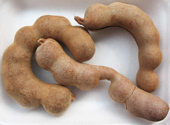 Similar image 1146493