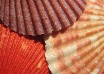 Similar image 1146497