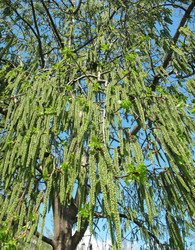 Similar image 1146505