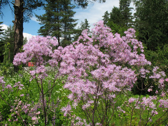 Similar image 1146506