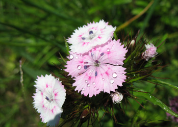 Similar image 1146509