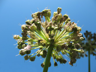 Similar image 1146511