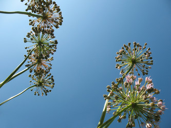 Similar image 1146520