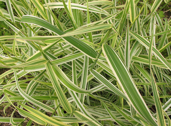 Similar image 1146526