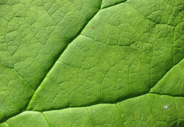 Similar image 1146531