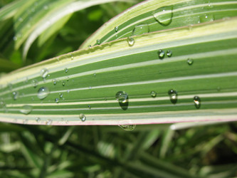 Similar image 1146541