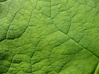 Similar image 1146544