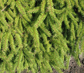 Similar image 1146553