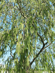 Similar image 1146554