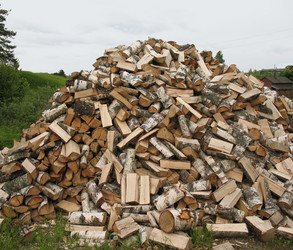 Similar image 1146562