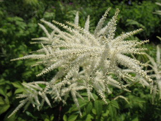 Similar image 1146564