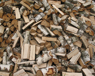 Similar image 1146573