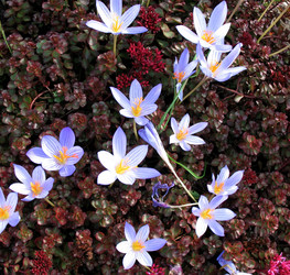 Similar image 1146581