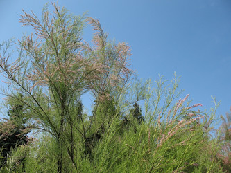 Similar image 1146597