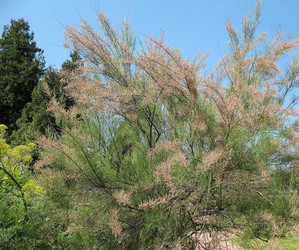 Similar image 1146598