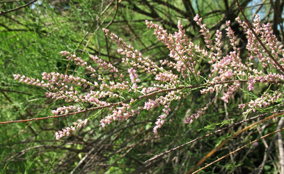 Similar image 1146599