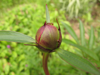 Similar image 1146647