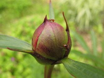 Similar image 1146648