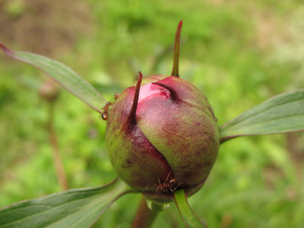 Similar image 1146649