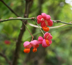 Similar image 1146650