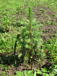 Similar image 1146654