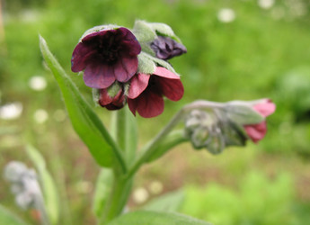 Similar image 1146683