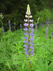 Similar image 1146690