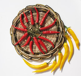 Similar image 1146695