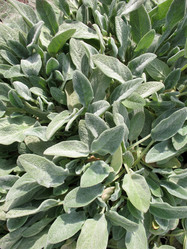 Similar image 1146704