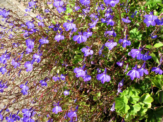 Similar image 1146706