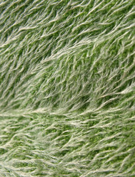 Similar image 1146707