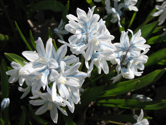 Similar image 1146714