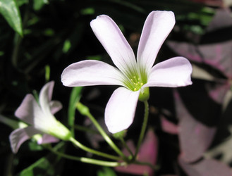 Similar image 1146713