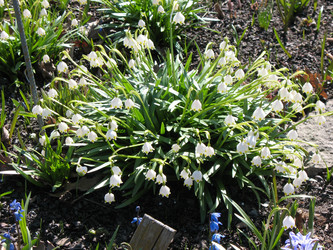 Similar image 1146716