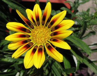 Similar image 1146715