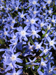 Similar image 1146718